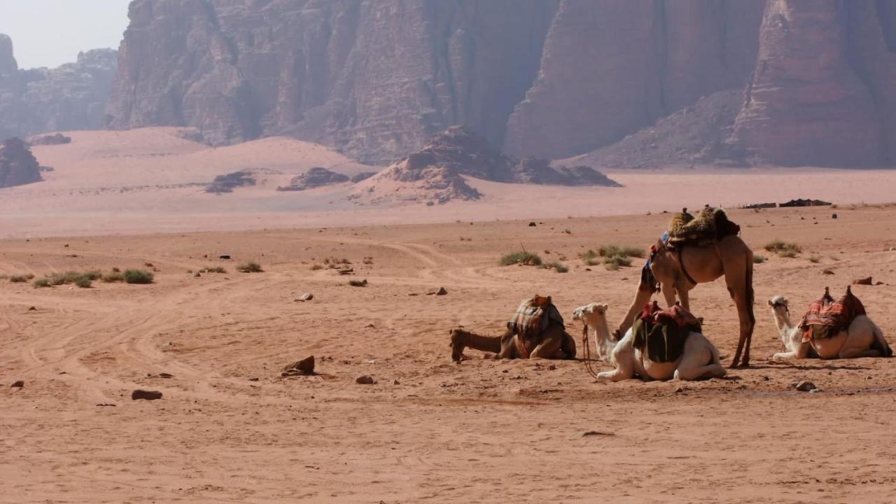 Bedouin Memories Camp Wadi Rum Exterior foto